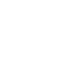 Linkedin icon