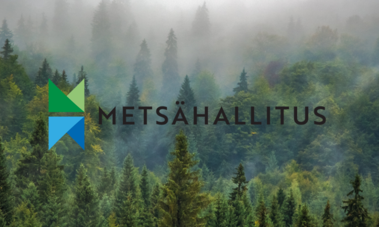 Case Metsähallitus – Strengthening employer brand by recruitment